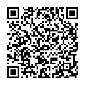 真正残酷的对决通过大量的肢体语言表演在不动声色中被塑造出来二维码生成