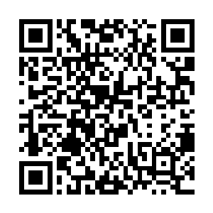 真正的大事是他对华人华侨在意大利的现状很不满意二维码生成