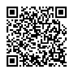 真正的模样是龙贻族大量被折磨致死的残魂被制造而成二维码生成