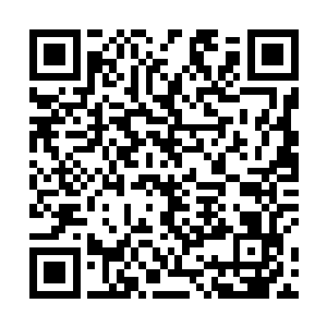 真正的目的是因为他们文家是洛家设在九域的一颗棋子二维码生成