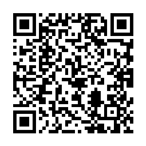 真正的高端攻略――简单粗暴的队伍构成反而能夺得高名次二维码生成