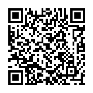 真的以为你们天圣宗是修真界的第一大宗派不成二维码生成