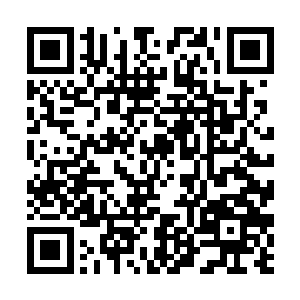 真的很容易产生伍曦说的那种心痒痒又挠不到的感觉二维码生成