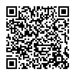 真的想要找机会把自己的衣钵传给这个有着和他的年纪不符的沉稳的年轻人的二维码生成