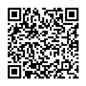 真的无法想象那样的圣者会强大到什么样的程度……二维码生成