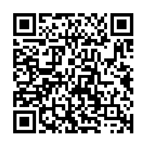真的是搞得在东夏势力最强的齐二爷都忍不住有些羡慕嫉妒恨了二维码生成