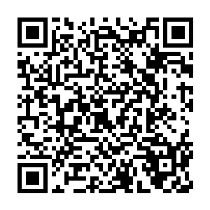 真神修炼到极致要凝聚出混沌种子最终使混沌种子成长为混沌之莲二维码生成