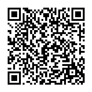 真要把神经蝙蝠的真相告诉了你们只怕你们一个个吓得再也不敢来这里了二维码生成