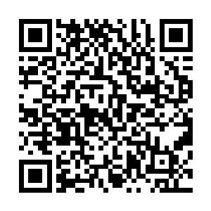 眨眼的工夫便似乎在无形中将初来乍到的宋氏给压制了下去二维码生成