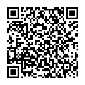 眼下唯一让鸿鹄有所顾忌的就是……对方会不会藏着什么此前从来没展露过的二维码生成