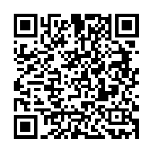 眼下这场戏是谁在操办……倘若没有长公主府的用印二维码生成