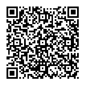 眼前一个硕大的游泳池――或者说鱼缸更为合适――占据了摄影棚将近一半的空间二维码生成