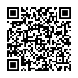 眼前似真的浮现出了宋家老宅里的腊梅开遍枝头的画面二维码生成