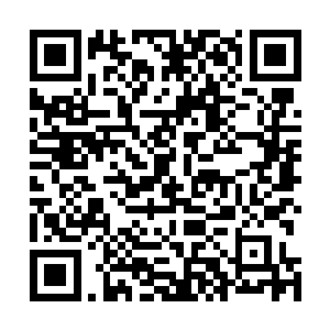 眼前浮现出了荣光第一次在圣保罗州锦标赛中亮相的情景二维码生成