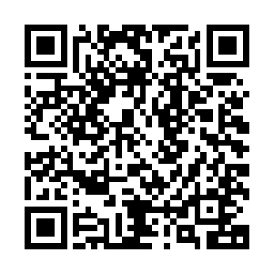 眼前的一幕让他们立刻意识到自己与杨开的差距到底有多大了二维码生成