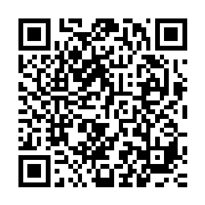 眼前的巨猿的肉身很有可能已经达到了恐怖的上品仙器的程度二维码生成