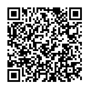眼前的歌舞也好像俗气了一般――在以极品仙石付酒水帐的修士面前二维码生成