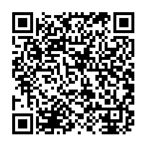眼前的血色的怪物在整个万岛海域乃是整个神武帝国现在都是绝对的无敌的存在二维码生成
