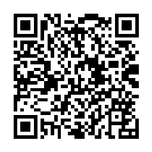 眼前的路已经被那些特种兵和无数辆的军车堵得严严实实的二维码生成