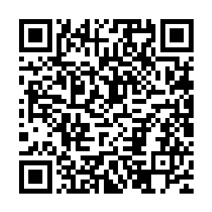 眼前的这个地方无论是规模还是气派都比玄黄宇宙强了不止一筹二维码生成