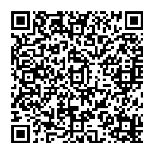 眼前的这个恐怖的巨猿显然在气势上要比之前的时候杨戬两个人见过的任何凶兽都要强大不少二维码生成