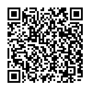 眼前的这个葫芦就很有可能和林秋生碰到的那个石狮子一样是一样的戏路二维码生成