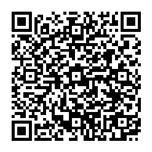 眼前的这位可是太玄宗的当代宗主啊不知道有多少人争破头想成为太玄宗宗主的真传弟子二维码生成