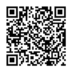 眼前这一张张变幻的脸庞她根本无暇去一一仔细分清二维码生成