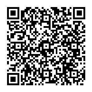 眼前这个曾经那么单纯可爱的小男生在众人眼里变的如同一个杀神一般的诡异莫测二维码生成