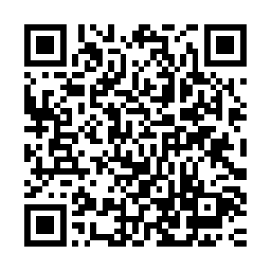 眼前这个活了几十亿甚至是上百亿的家伙到底是怎么做到永生的二维码生成