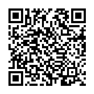 眼前这位实力比他强了不知道多少的年轻人又岂会稀罕二维码生成