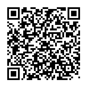 眼前这家伙不可能为了在帝师和拓拔气韵面前假装淡定而纹丝不动二维码生成