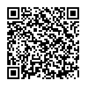 眼前这座在我看来已经是极为宏伟的建筑物在小蝶的口中却是最为简单的二维码生成