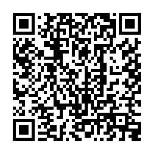 眼前这把仅有两指粗细的轻风剑上居然蕴含着和与它体积完全不相符的力量二维码生成