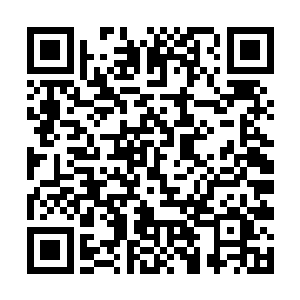 眼尖的看到血红地面上好像正在垂死挣扎般的一撮撮二维码生成