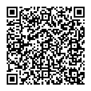 眼看着万余仙舟就在这么极短的时间里便几乎全军覆没・而自己这一方只是损失了十几艘仙舟二维码生成