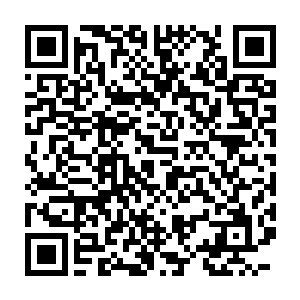 眼睛也再一次瞪得大大的反应比之前的时候见到的造化果的时候还要大二维码生成
