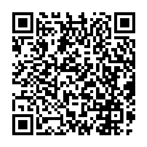 眼睛也是充满震惊和不可置信的表情死死的盯着混战之中的那个小子二维码生成