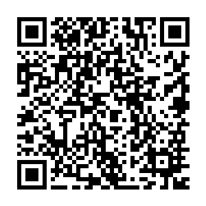 眼睛肿的和核桃有的一比的国宝般模样的星火可怜兮兮地蹲在角落之处二维码生成