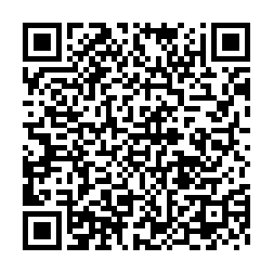 眼瞅着珠圆玉润的小耳垂从雪白嫩滑的颜色瞬间染上一抹淡淡的粉晕二维码生成