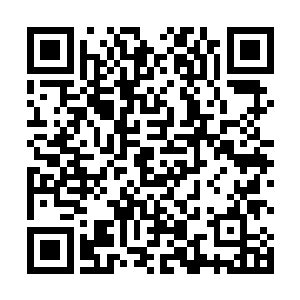 眼神之中颇为诧异的望着已经转身离开的这位衣着简单二维码生成