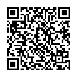 眼见得旁边还有几条巨大的黑影灵活无比的在水中游动着二维码生成