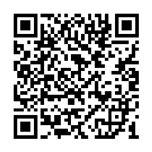 眼里忽然间多了几分无法用言语形容的痛心之色二维码生成