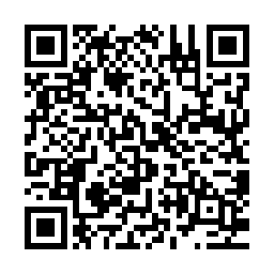 着重描述了一下林可儿是怎样凭一把尖刀弹指间刺倒那些人的二维码生成
