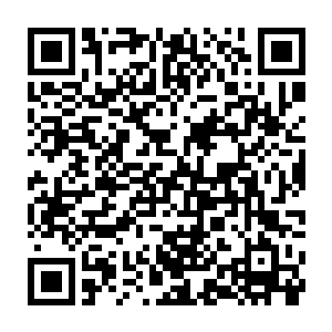 督瑞尔身上的那些银色粉末便和杨凌手中的巨盾一起绽放出了璀璨的电光二维码生成