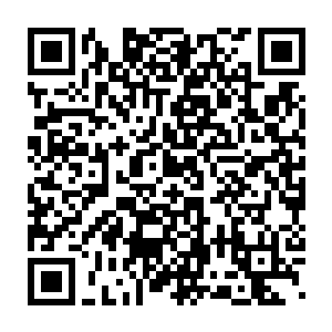 瞄准镜里出现了那个信号旗狙击手的藏身之处――远端的一棵树下二维码生成
