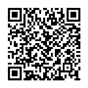 瞠目结舌地看着眼前那几乎已经完全疯狂的人潮二维码生成