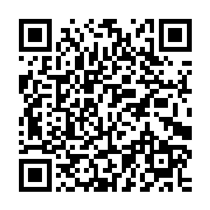 瞧着自己这四盘子的小菜和满桌的美食一比还真不是一个档次的二维码生成