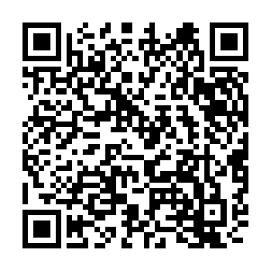 瞧瞧这位应该算是白氏医药连锁公司老总的小舅子究竟是个什么样人二维码生成
