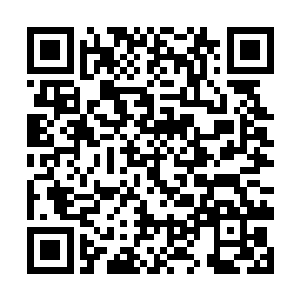 瞬间功夫已经将现有最毒的神经毒素注入到你的体内二维码生成